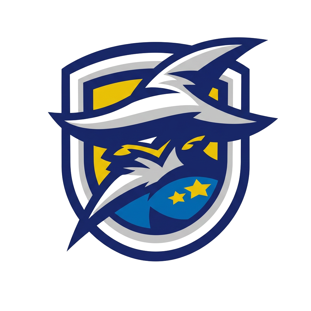 WashWizards logo